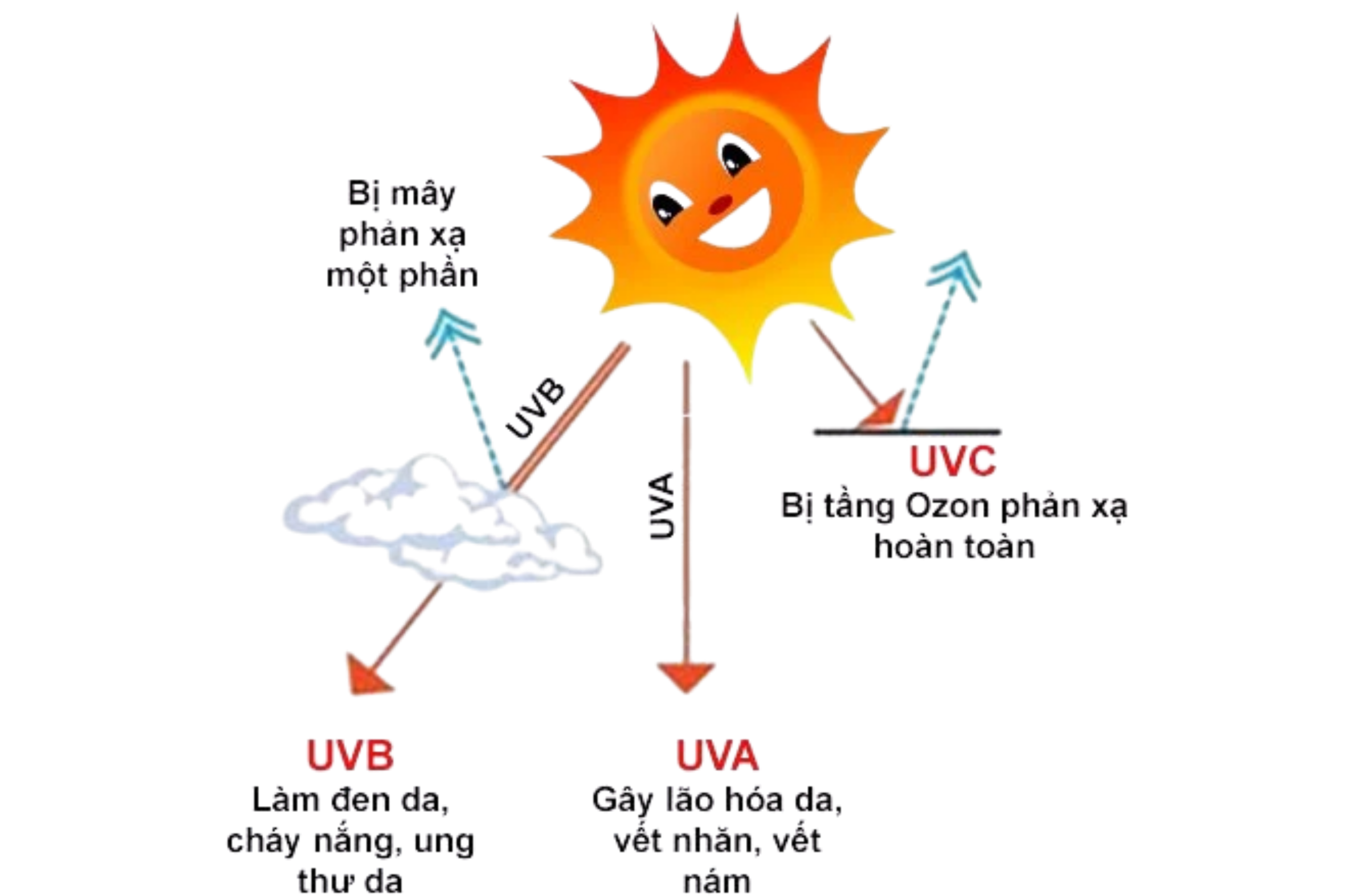 Các Loại Tia UV